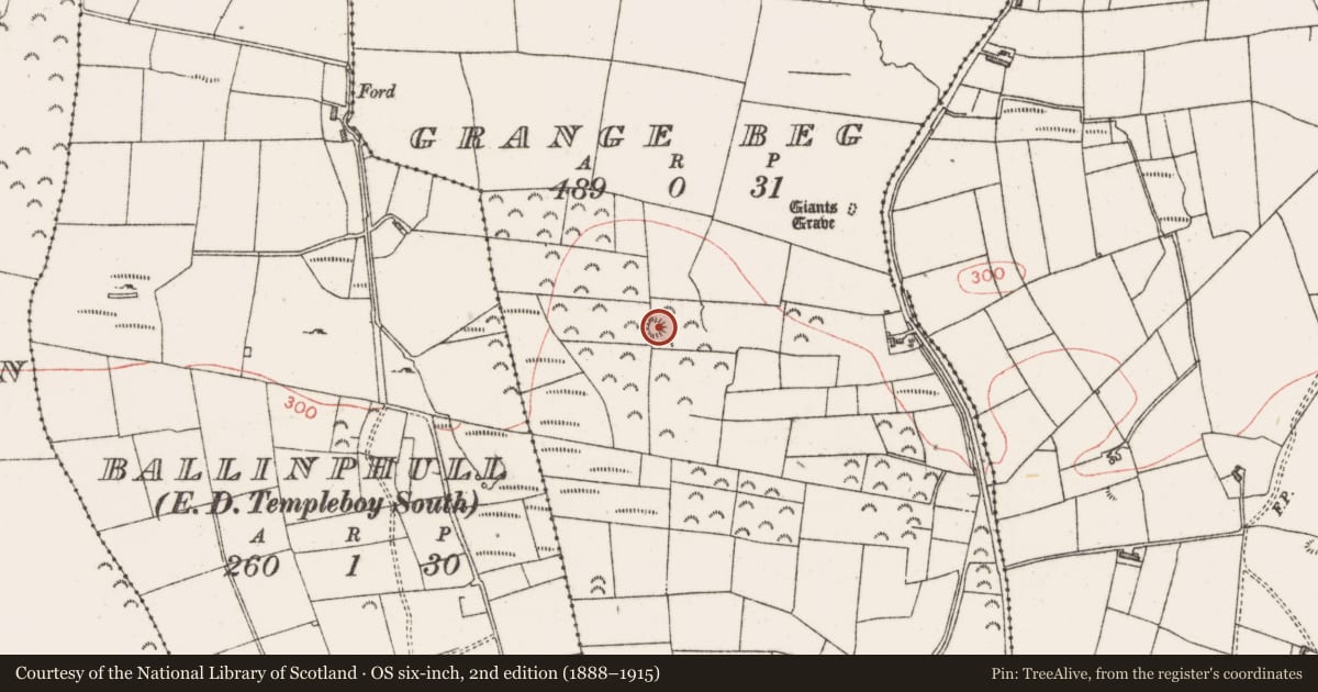 Ordnance Survey six-inch map, 2nd edition (1888–1915) covering the location of Ringfort - rath, Grange Beg, County Sligo, with a pin at the register's coordinates