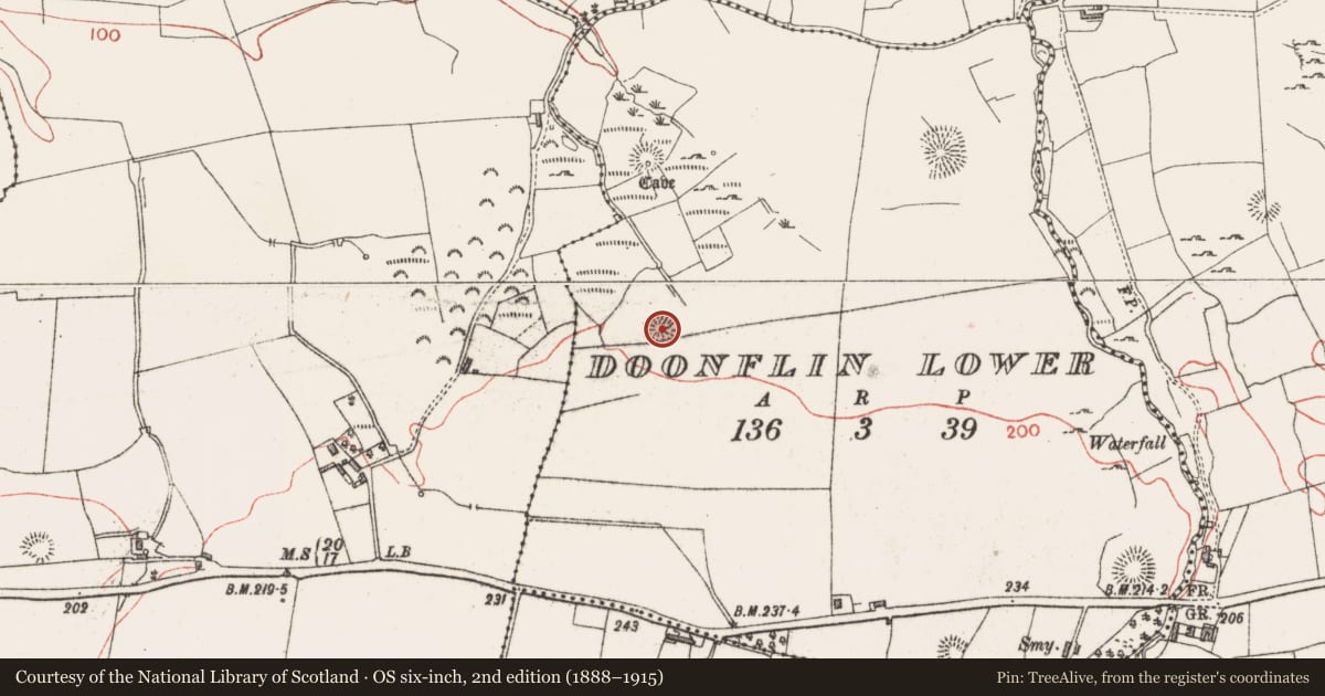 Ordnance Survey six-inch map, 2nd edition (1888–1915) covering the location of Ringfort - rath, Doonflin Lower, County Sligo, with a pin at the register's coordinates