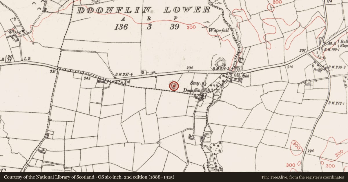 Ordnance Survey six-inch map, 2nd edition (1888–1915) covering the location of Ringfort - rath, Doonflin Lower, County Sligo, with a pin at the register's coordinates