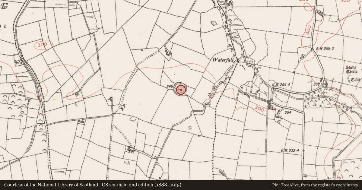 Ordnance Survey six-inch map, 2nd edition (1888–1915) covering the location of Ringfort - rath, Doonflin Upper, County Sligo, with a pin at the register's coordinates