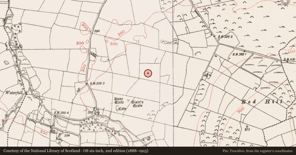Ordnance Survey six-inch map, 2nd edition (1888–1915) covering the location of Field system, Farranyharpy, County Sligo, with a pin at the register's coordinates