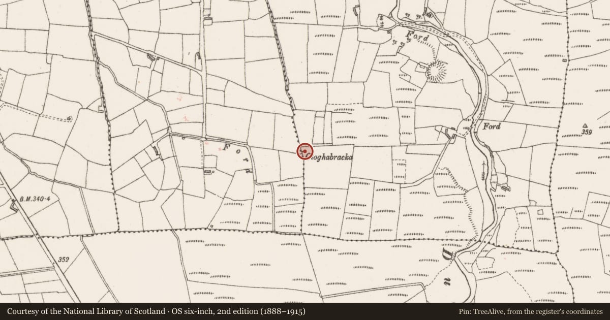 Ordnance Survey six-inch map, 2nd edition (1888–1915) covering the location of Megalithic tomb - court tomb, Belville, County Sligo, with a pin at the register's coordinates