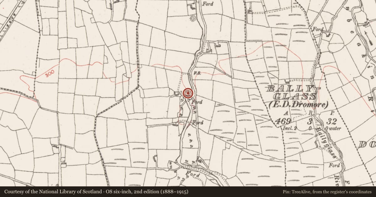 Ordnance Survey six-inch map, 2nd edition (1888–1915) covering the location of Enclosure, Belville, County Sligo, with a pin at the register's coordinates