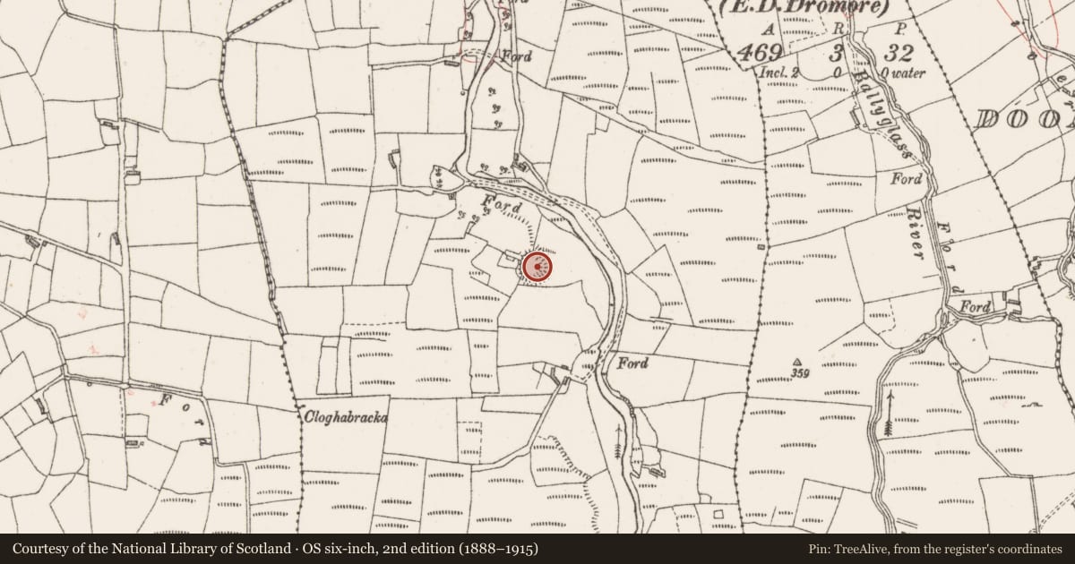 Ordnance Survey six-inch map, 2nd edition (1888–1915) covering the location of Ringfort - rath, Belville, County Sligo, with a pin at the register's coordinates