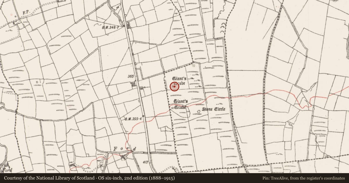 Ordnance Survey six-inch map, 2nd edition (1888–1915) covering the location of Megalithic tomb - unclassified, Barnacoghil, County Sligo, with a pin at the register's coordinates