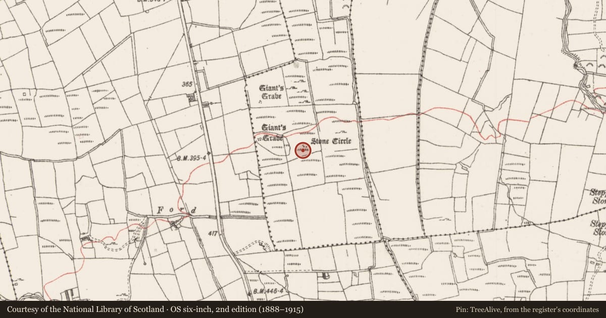 Ordnance Survey six-inch map, 2nd edition (1888–1915) covering the location of Stone row, Barnacoghil, County Sligo, with a pin at the register's coordinates