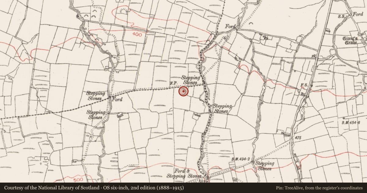 Ordnance Survey six-inch map, 2nd edition (1888–1915) covering the location of Ringfort - rath, Kingsmountain, County Sligo, with a pin at the register's coordinates