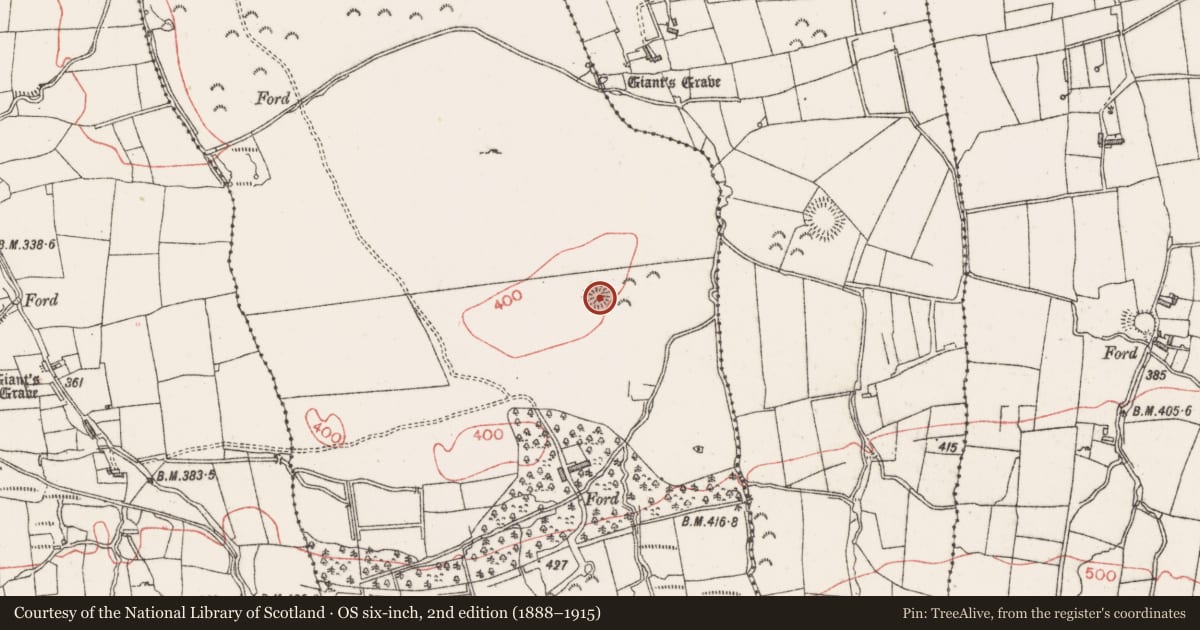 Ordnance Survey six-inch map, 2nd edition (1888–1915) covering the location of Ringfort - rath, Ballygreighan, County Sligo, with a pin at the register's coordinates