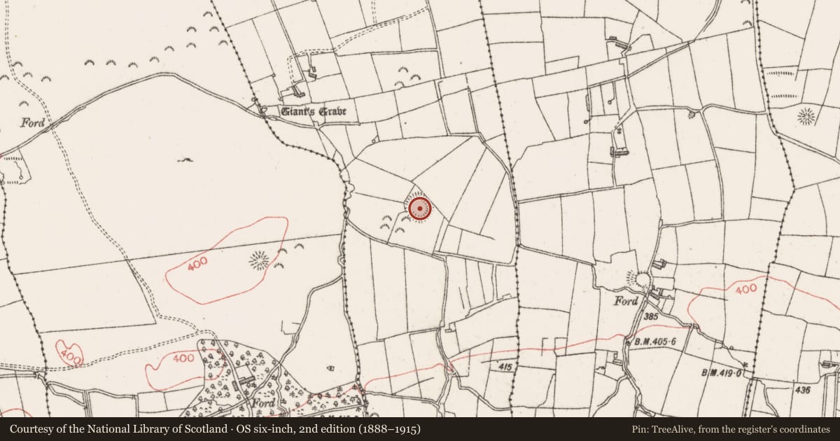 Ordnance Survey six-inch map, 2nd edition (1888–1915) covering the location of Ringfort - rath, Ballinphull, County Sligo, with a pin at the register's coordinates
