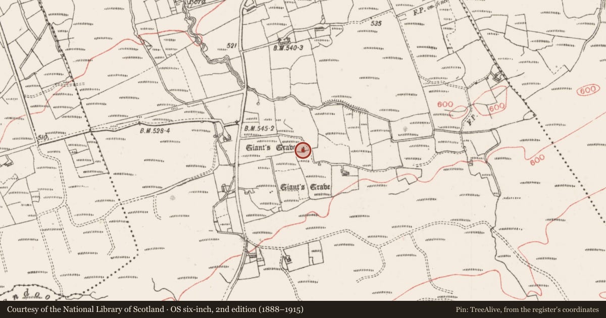 Ordnance Survey six-inch map, 2nd edition (1888–1915) covering the location of Megalithic tomb - unclassified, Dunowla, County Sligo, with a pin at the register's coordinates