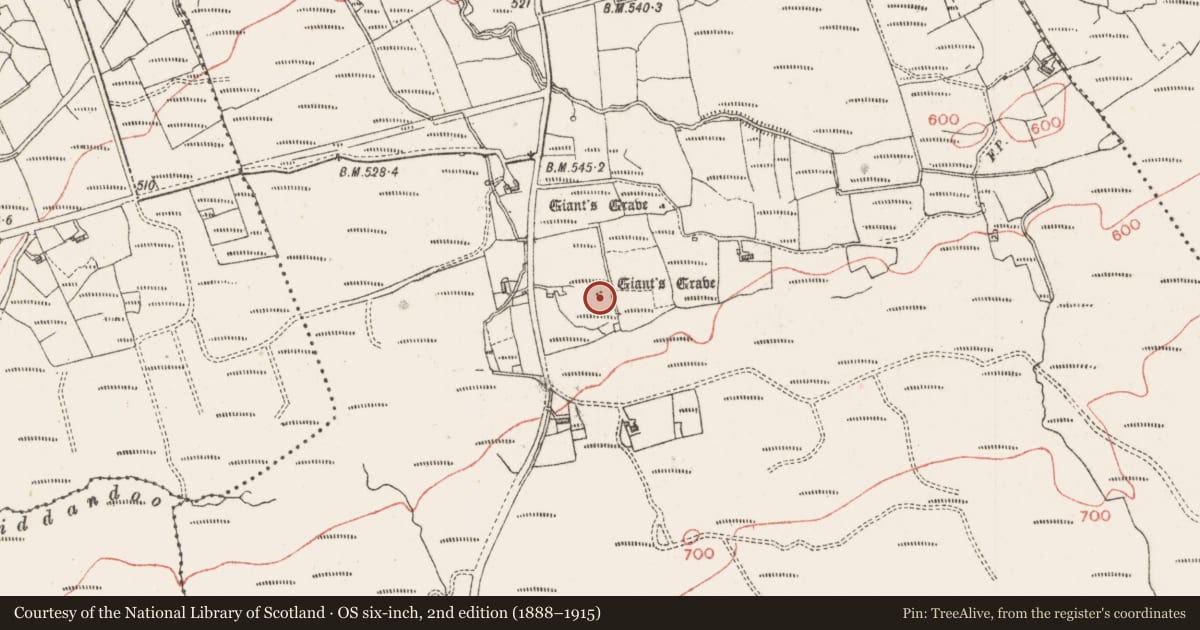 Ordnance Survey six-inch map, 2nd edition (1888–1915) covering the location of Megalithic tomb - wedge tomb, Dunowla, County Sligo, with a pin at the register's coordinates