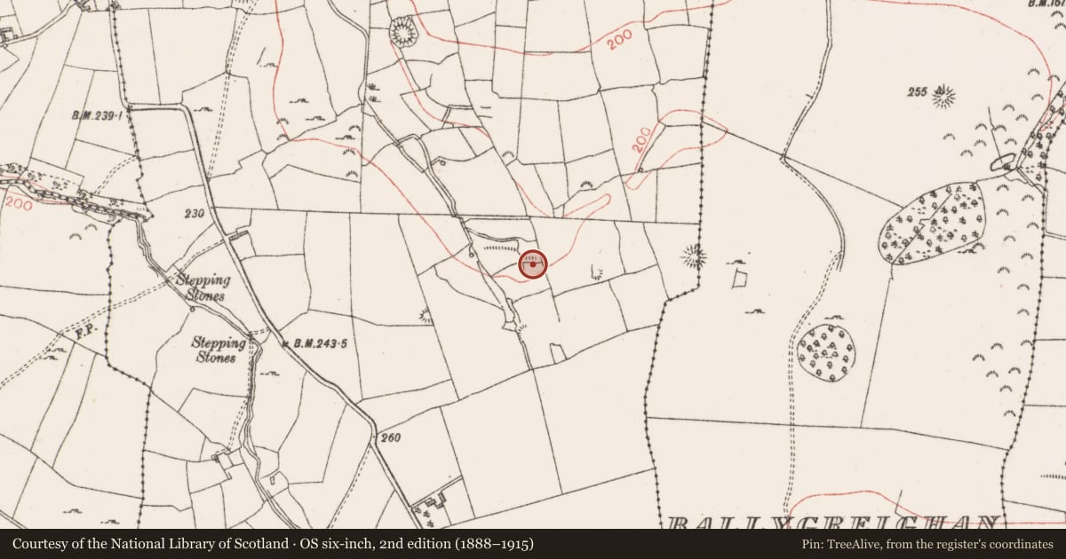 Ordnance Survey six-inch map, 2nd edition (1888–1915) covering the location of Burnt mound, Lugdoon, County Sligo, with a pin at the register's coordinates
