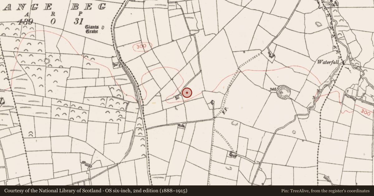 Ordnance Survey six-inch map, 2nd edition (1888–1915) covering the location of Fulacht fia, Doonflin Upper, County Sligo, with a pin at the register's coordinates