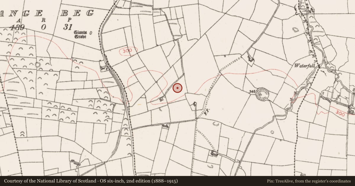 Ordnance Survey six-inch map, 2nd edition (1888–1915) covering the location of Burnt mound, Doonflin Upper, County Sligo, with a pin at the register's coordinates