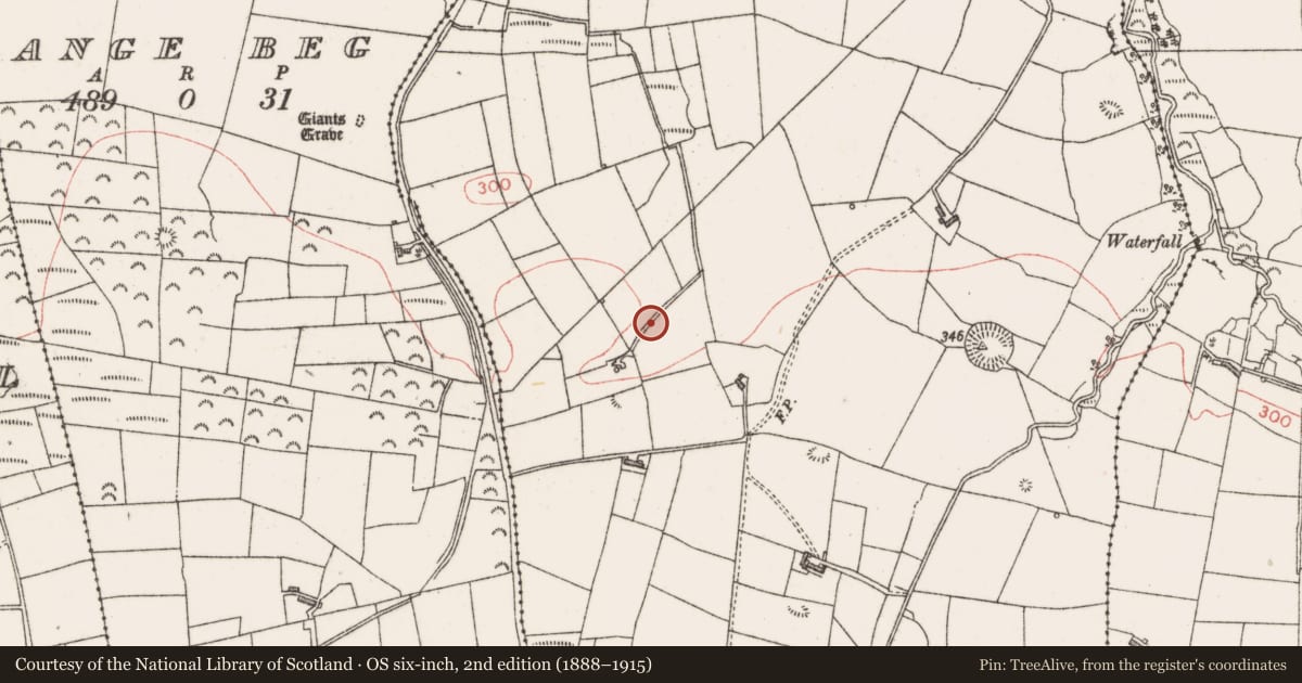 Ordnance Survey six-inch map, 2nd edition (1888–1915) covering the location of Burnt mound, Doonflin Upper, County Sligo, with a pin at the register's coordinates