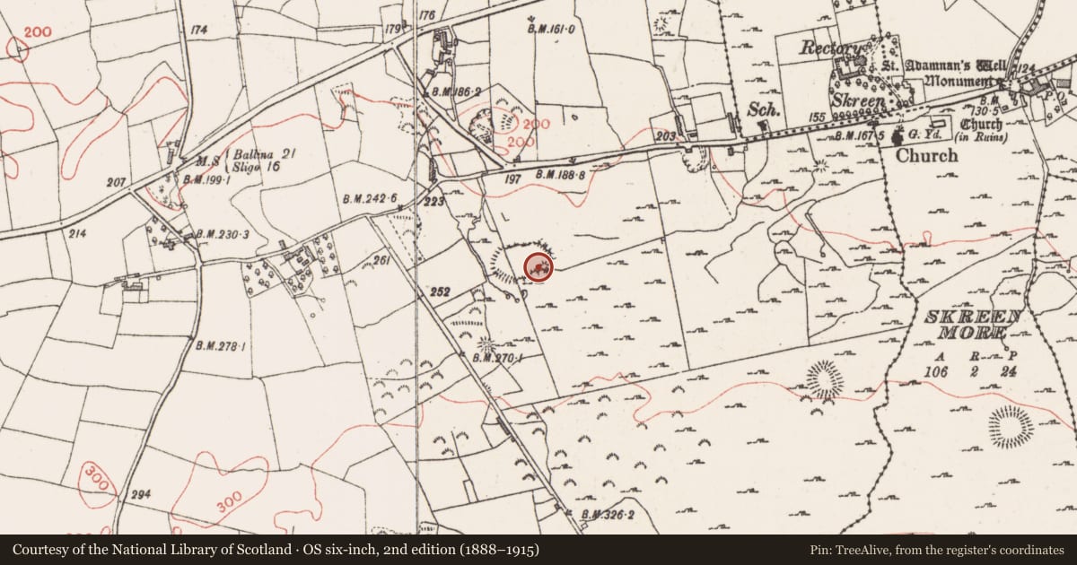 Ordnance Survey six-inch map, 2nd edition (1888–1915) covering the location of Hut site, Farranyharpy, County Sligo, with a pin at the register's coordinates