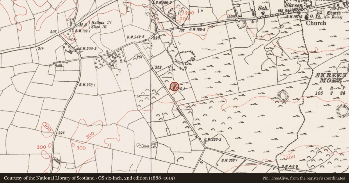 Ordnance Survey six-inch map, 2nd edition (1888–1915) covering the location of Enclosure, Farranyharpy, County Sligo, with a pin at the register's coordinates