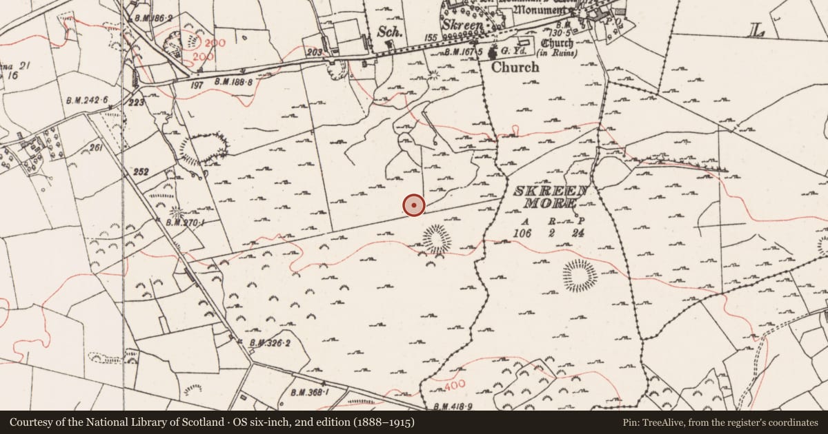 Ordnance Survey six-inch map, 2nd edition (1888–1915) covering the location of Field system, Skreen More, Farranyharpy, County Sligo, with a pin at the register's coordinates