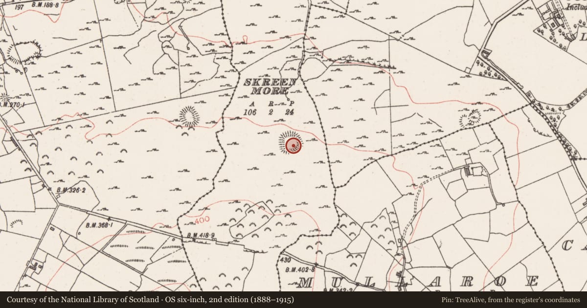 Ordnance Survey six-inch map, 2nd edition (1888–1915) covering the location of Enclosure, Skreen More, County Sligo, with a pin at the register's coordinates