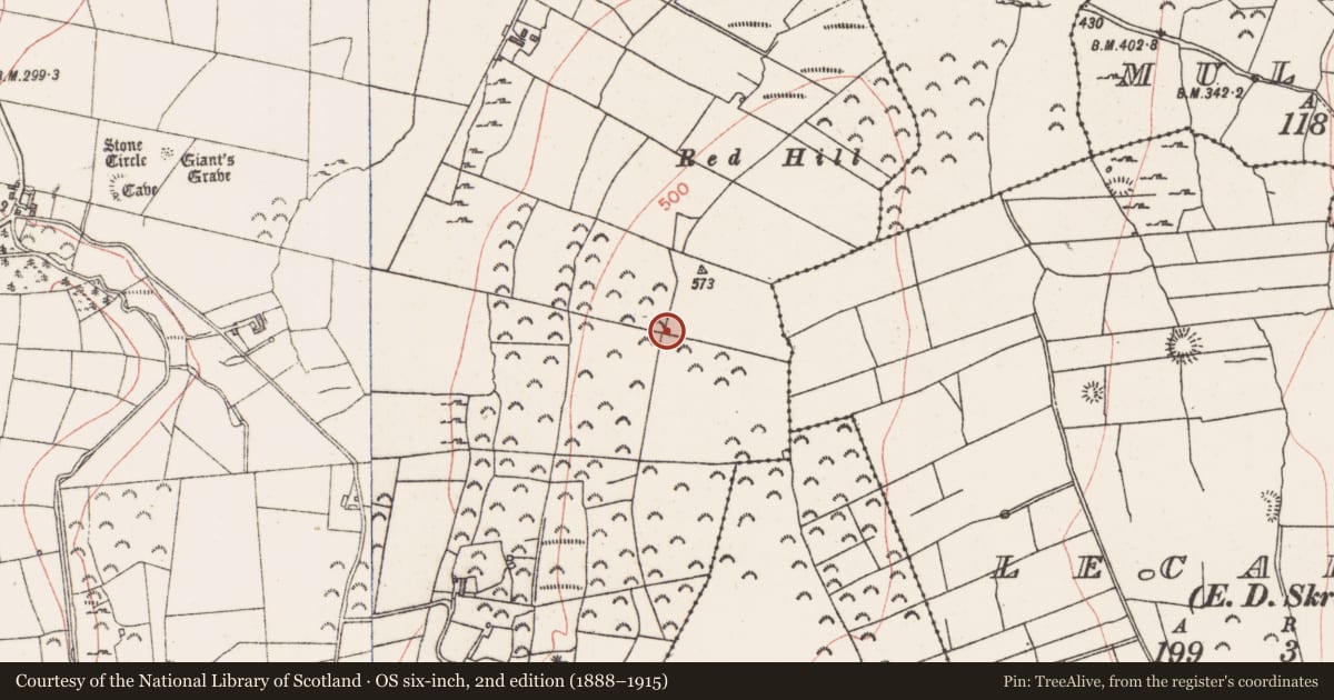 Ordnance Survey six-inch map, 2nd edition (1888–1915) covering the location of Ringfort - rath, Farranyharpy, County Sligo, with a pin at the register's coordinates