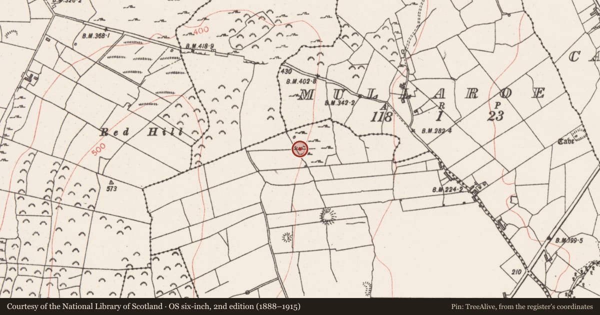 Ordnance Survey six-inch map, 2nd edition (1888–1915) covering the location of Ringfort - rath, Lecarrow, County Sligo, with a pin at the register's coordinates