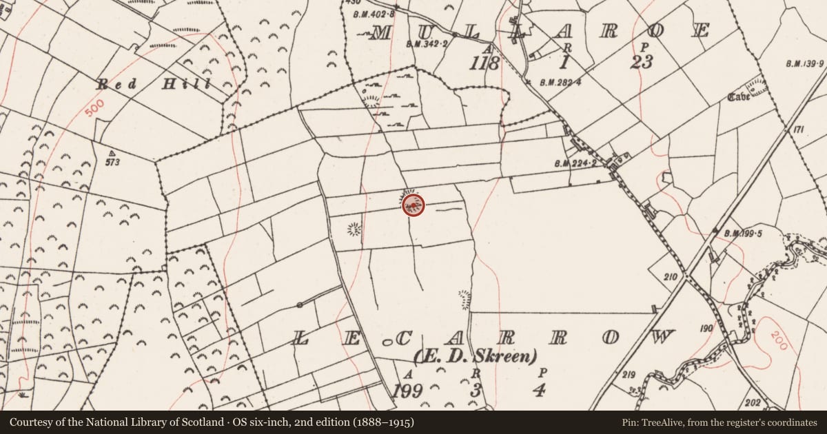 Ordnance Survey six-inch map, 2nd edition (1888–1915) covering the location of Ringfort - rath, Lecarrow, County Sligo, with a pin at the register's coordinates