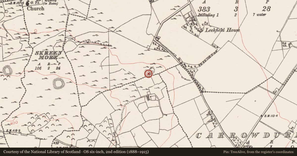 Ordnance Survey six-inch map, 2nd edition (1888–1915) covering the location of Enclosure, Leekfield, County Sligo, with a pin at the register's coordinates