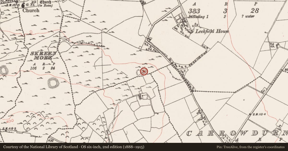 Ordnance Survey six-inch map, 2nd edition (1888–1915) covering the location of Ringfort - cashel, Leekfield, County Sligo, with a pin at the register's coordinates