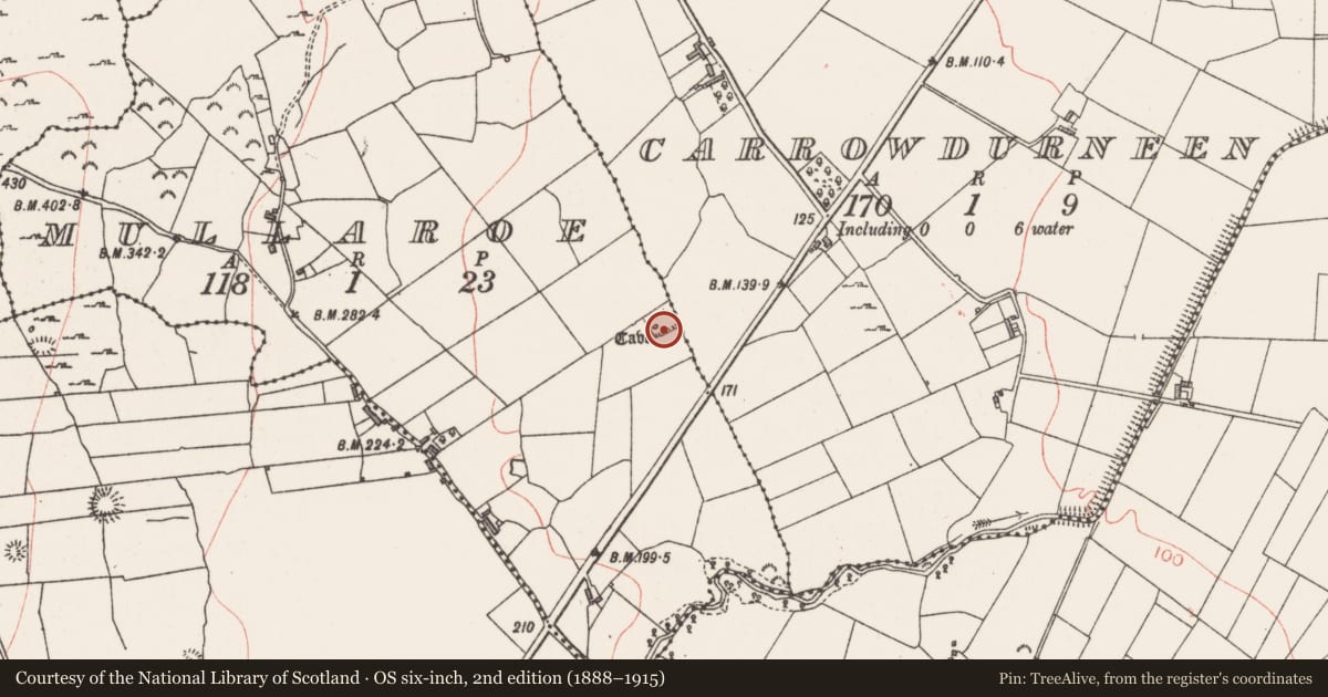 Ordnance Survey six-inch map, 2nd edition (1888–1915) covering the location of Ringfort - rath, Mullaroe, County Sligo, with a pin at the register's coordinates