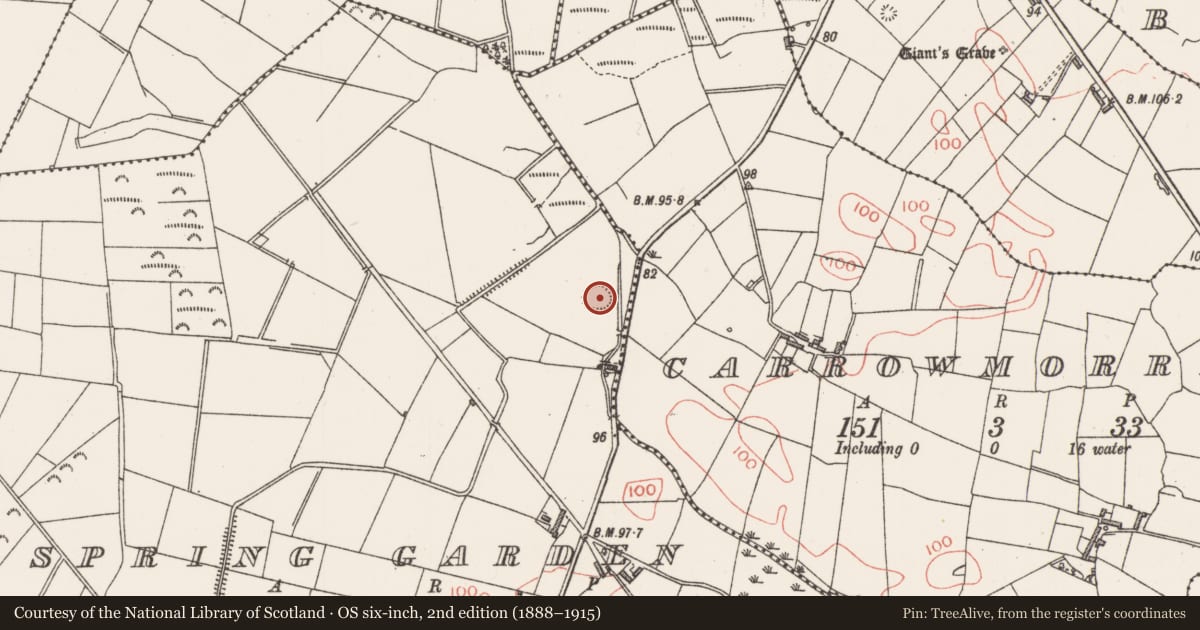 Ordnance Survey six-inch map, 2nd edition (1888–1915) covering the location of Ringfort - unclassified, Spring Garden, County Sligo, with a pin at the register's coordinates