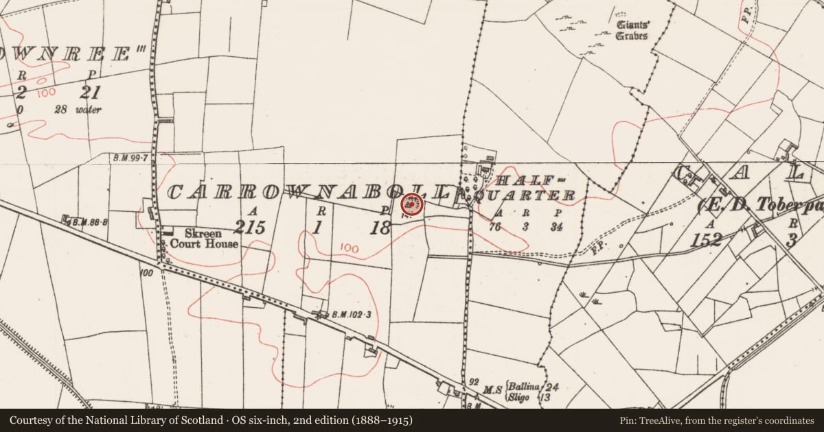 Ordnance Survey six-inch map, 2nd edition (1888–1915) covering the location of Ringfort - rath, Carrownaboll, County Sligo, with a pin at the register's coordinates