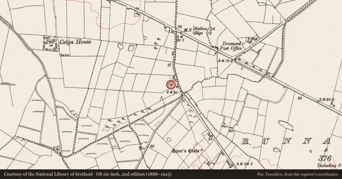 Ordnance Survey six-inch map, 2nd edition (1888–1915) covering the location of Ringfort - rath, Carrownaboll, County Sligo, with a pin at the register's coordinates