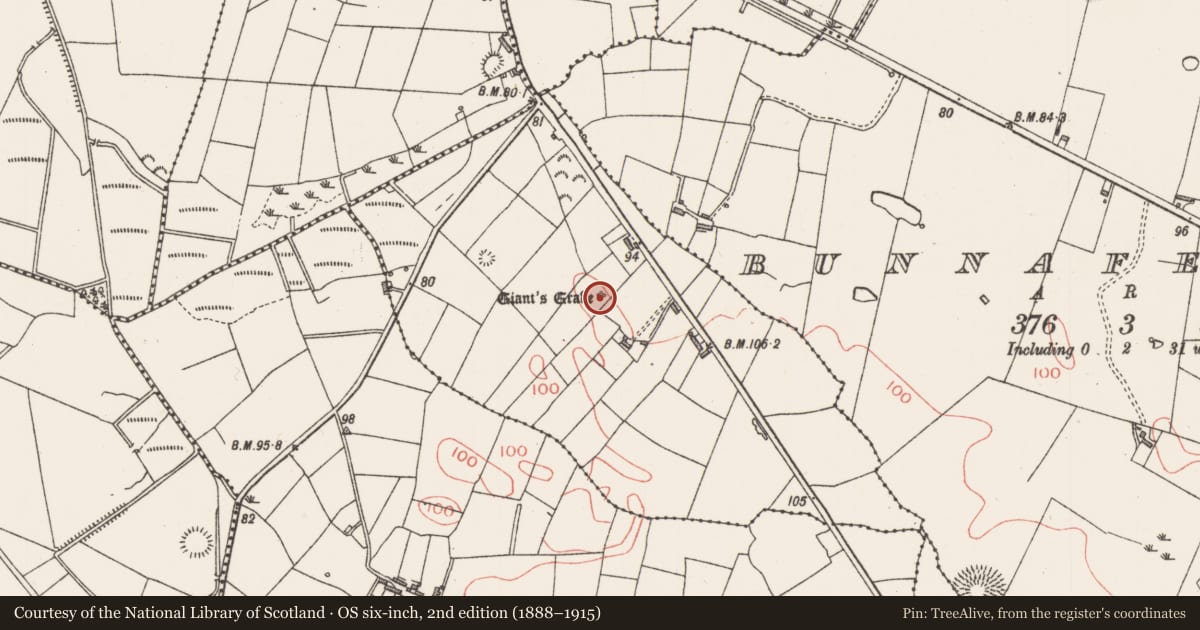Ordnance Survey six-inch map, 2nd edition (1888–1915) covering the location of Megalithic tomb - wedge tomb, Carrowconor, County Sligo, with a pin at the register's coordinates