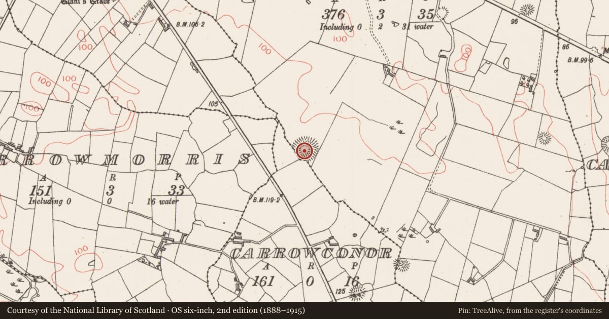 Ordnance Survey six-inch map, 2nd edition (1888–1915) covering the location of Ringfort - rath, Bunnafedia, County Sligo, with a pin at the register's coordinates