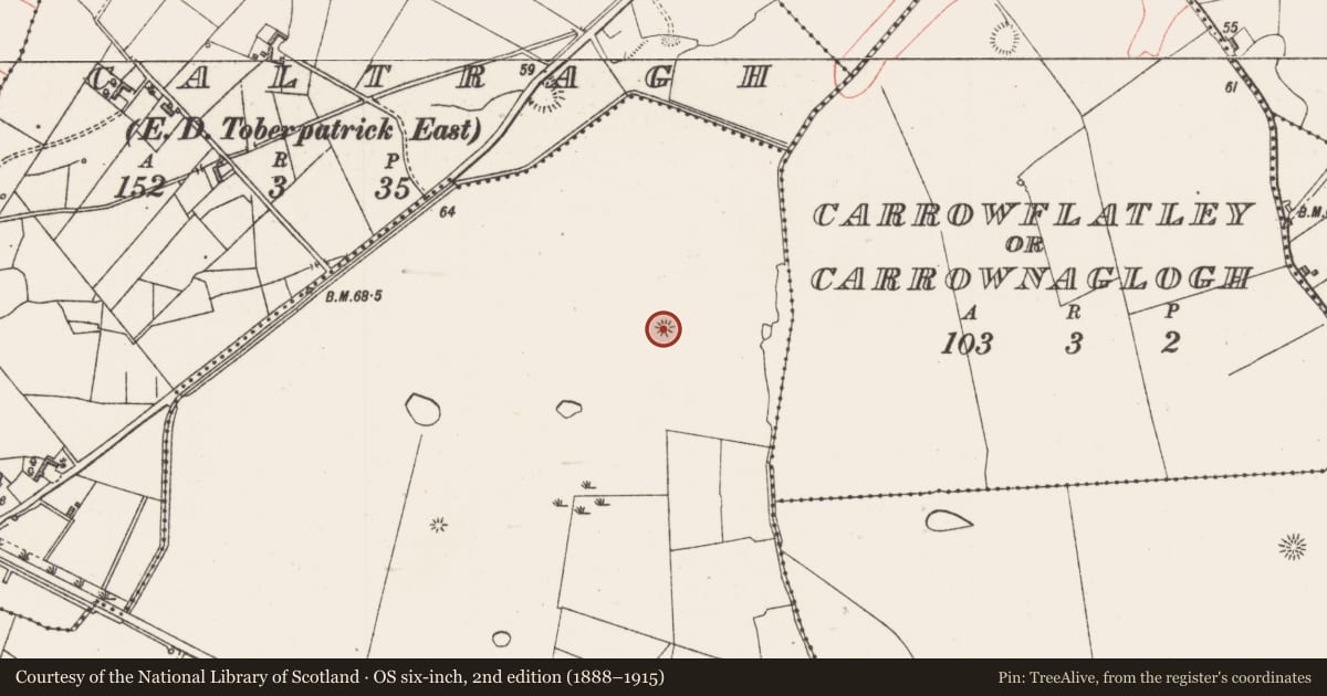 Ordnance Survey six-inch map, 2nd edition (1888–1915) covering the location of Barrow - ring-barrow, Bunnafedia, County Sligo, with a pin at the register's coordinates