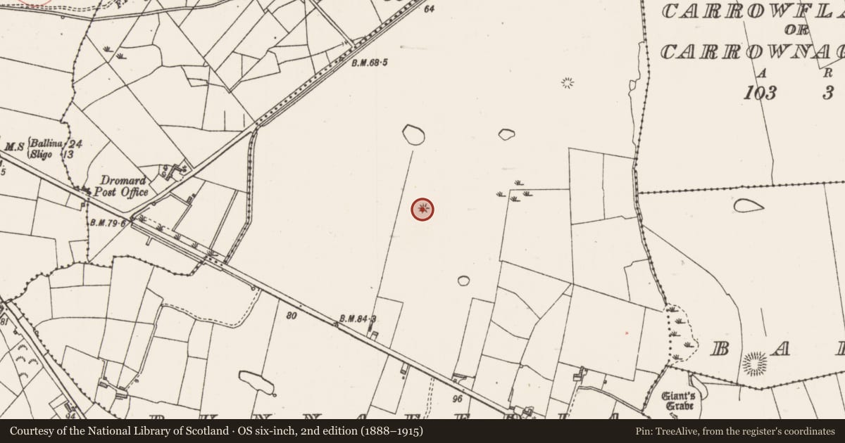 Ordnance Survey six-inch map, 2nd edition (1888–1915) covering the location of Barrow - unclassified, Bunnafedia, County Sligo, with a pin at the register's coordinates