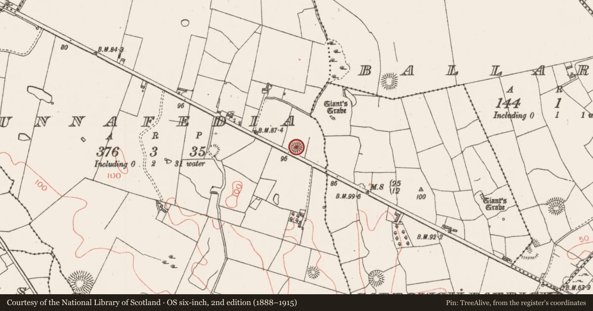 Ordnance Survey six-inch map, 2nd edition (1888–1915) covering the location of Ringfort - rath, Bunnafedia, County Sligo, with a pin at the register's coordinates