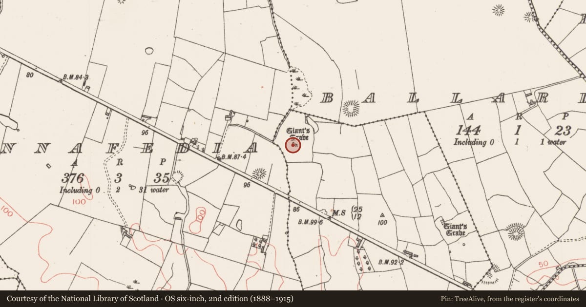 Ordnance Survey six-inch map, 2nd edition (1888–1915) covering the location of Megalithic tomb - court tomb, Carrowgilpatrick, County Sligo, with a pin at the register's coordinates