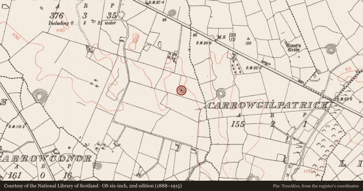 Ordnance Survey six-inch map, 2nd edition (1888–1915) covering the location of Ringfort - rath, Bunnafedia, County Sligo, with a pin at the register's coordinates