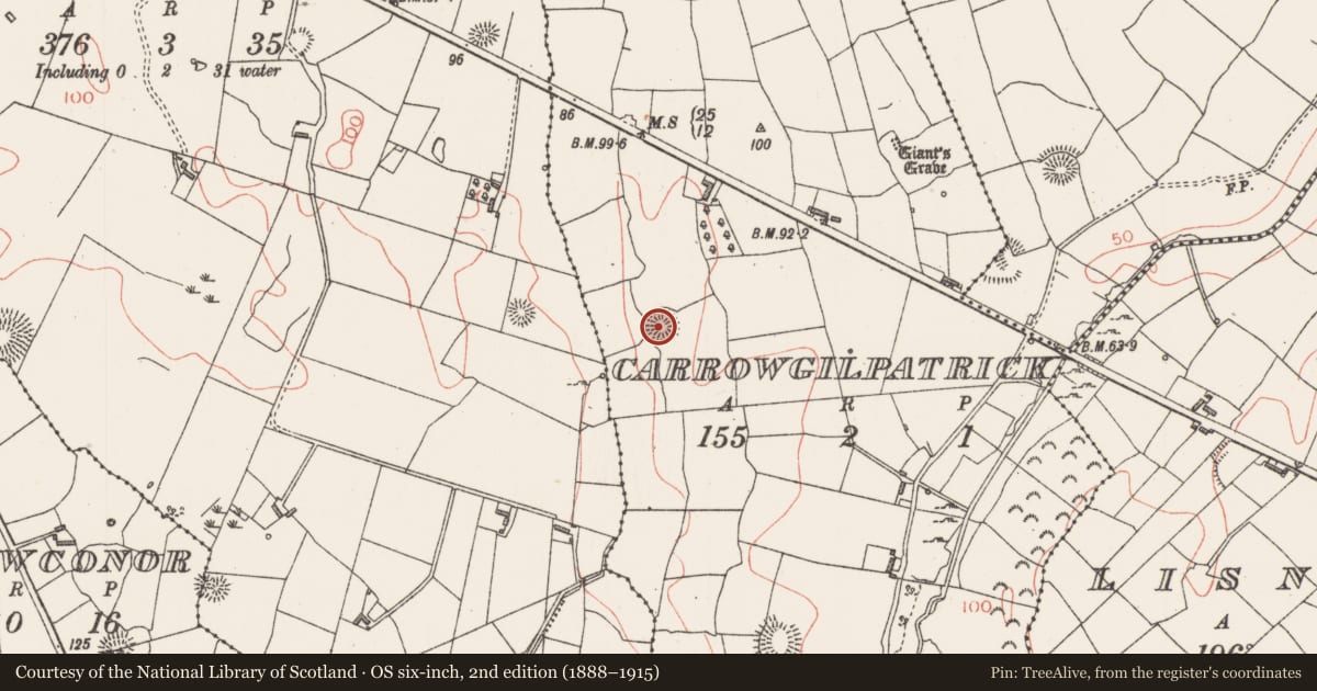 Ordnance Survey six-inch map, 2nd edition (1888–1915) covering the location of Ringfort - rath, Carrowgilpatrick, County Sligo, with a pin at the register's coordinates
