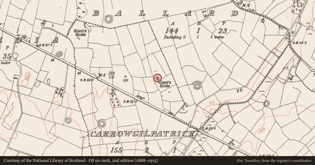 Ordnance Survey six-inch map, 2nd edition (1888–1915) covering the location of Megalithic tomb - unclassified, Carrowgilpatrick, County Sligo, with a pin at the register's coordinates