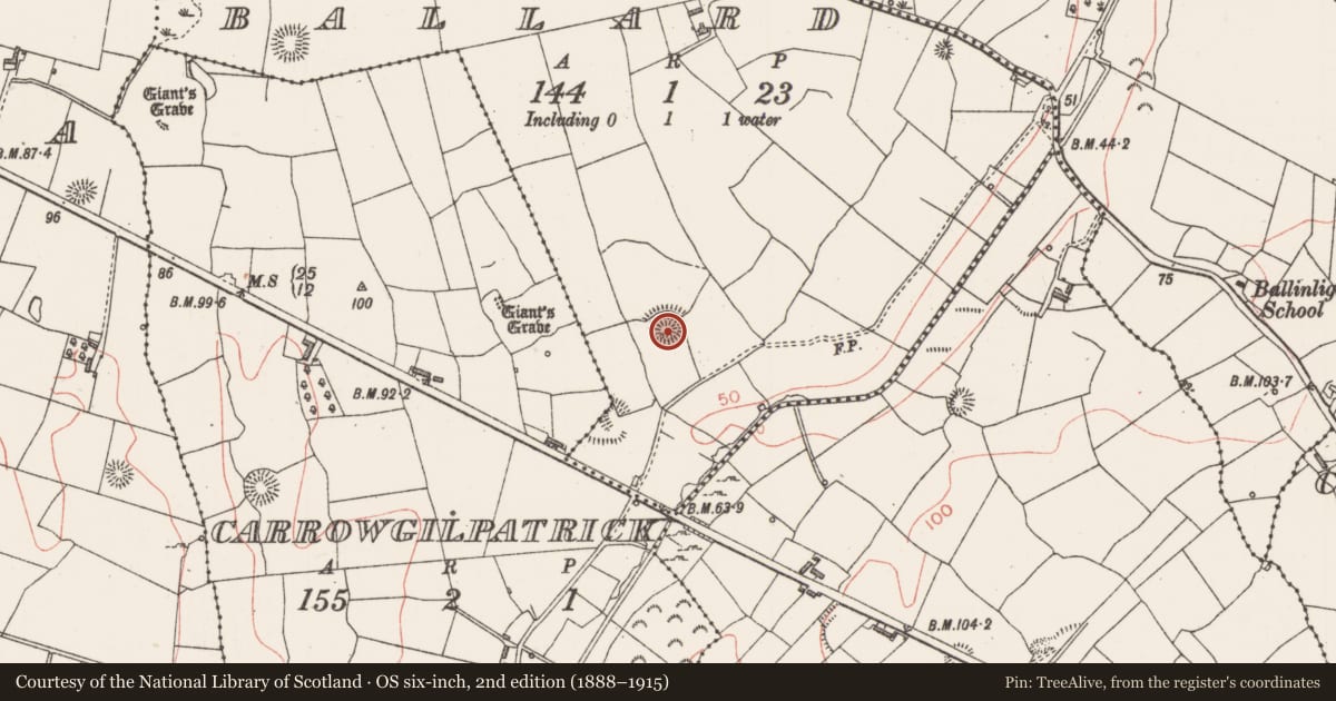 Ordnance Survey six-inch map, 2nd edition (1888–1915) covering the location of Ringfort - rath, Ballard, County Sligo, with a pin at the register's coordinates