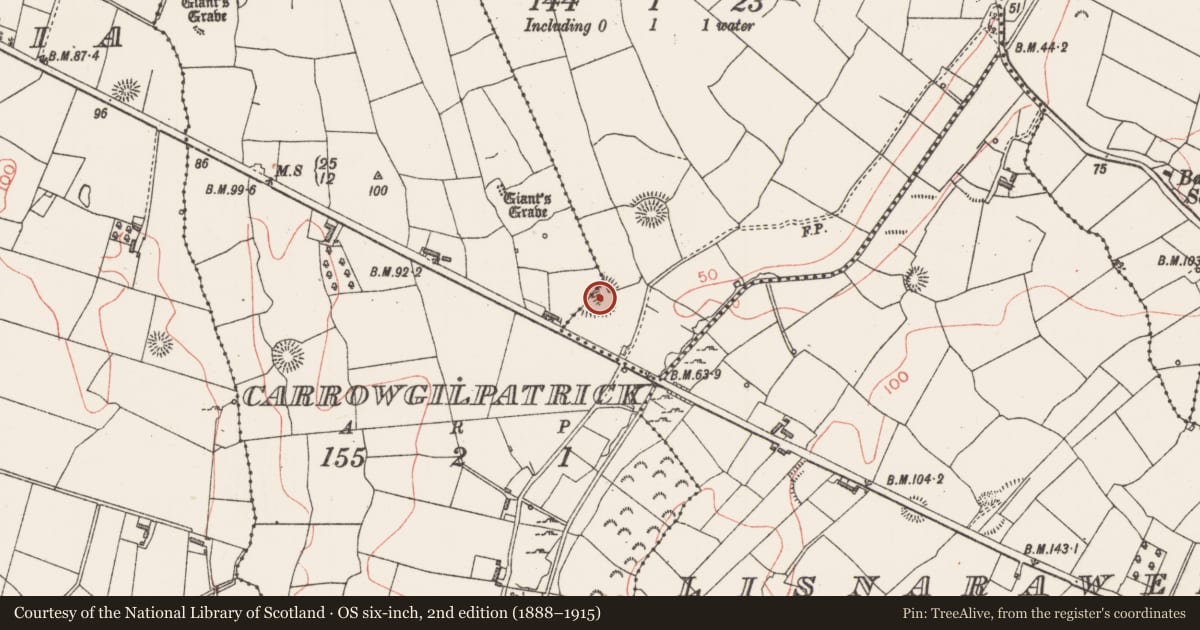 Ordnance Survey six-inch map, 2nd edition (1888–1915) covering the location of Ringfort - unclassified, Ballard, Carrowgilpatrick, County Sligo, with a pin at the register's coordinates