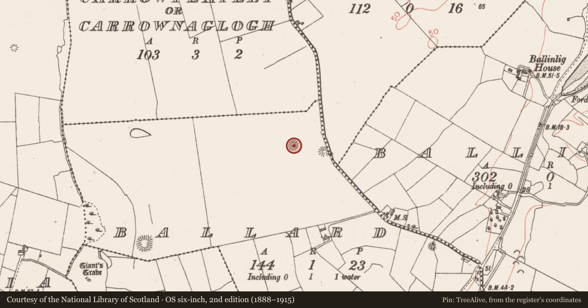 Ordnance Survey six-inch map, 2nd edition (1888–1915) covering the location of Barrow - ring-barrow, Ballard, County Sligo, with a pin at the register's coordinates