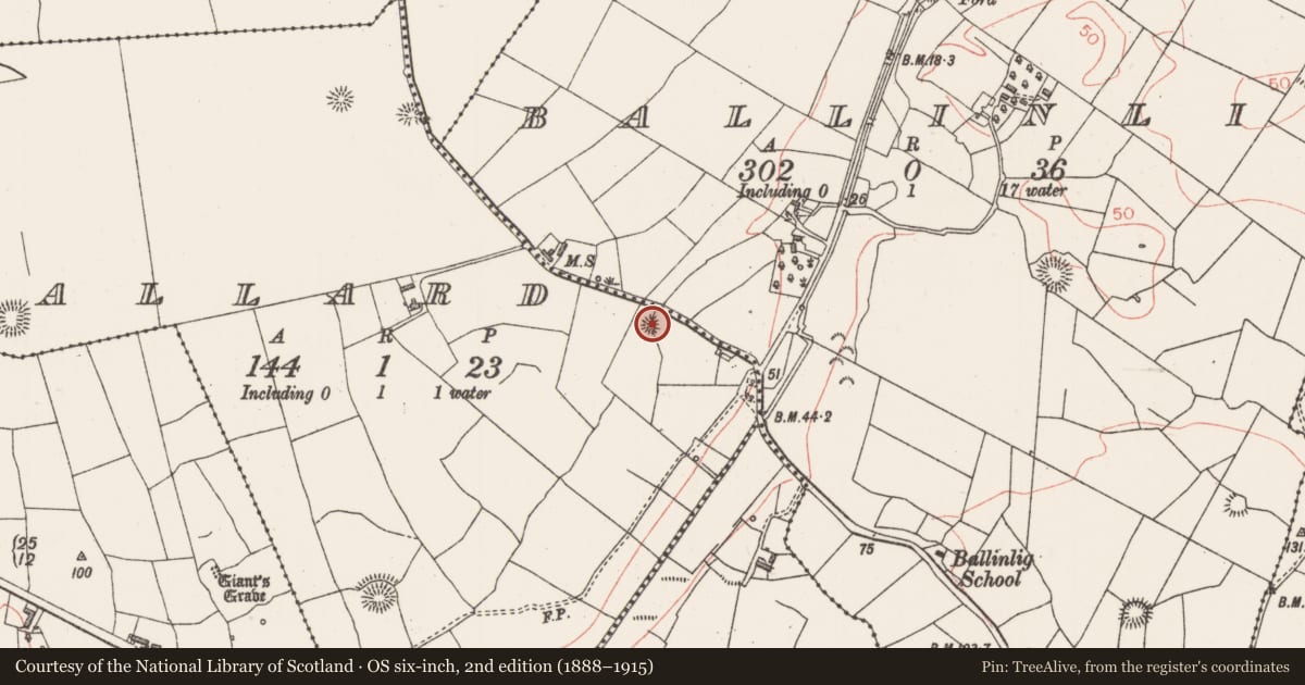 Ordnance Survey six-inch map, 2nd edition (1888–1915) covering the location of Barrow - unclassified, Ballard, County Sligo, with a pin at the register's coordinates