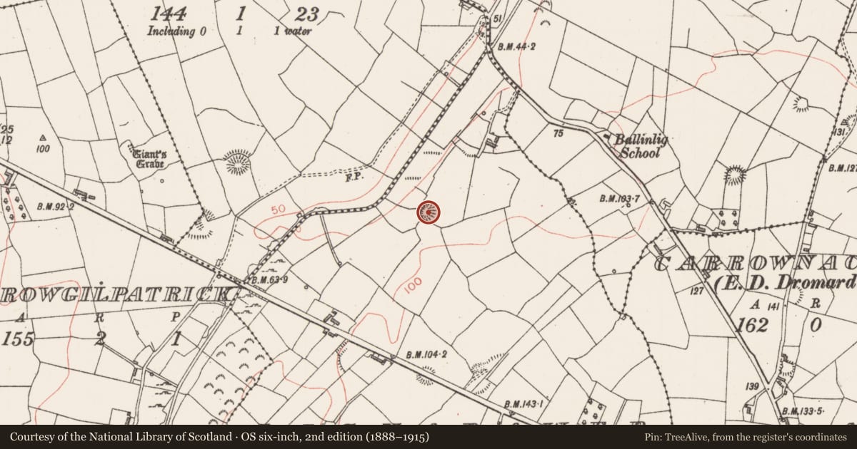 Ordnance Survey six-inch map, 2nd edition (1888–1915) covering the location of Ringfort - rath, Lisnarawer, County Sligo, with a pin at the register's coordinates