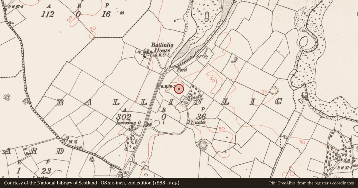 Ordnance Survey six-inch map, 2nd edition (1888–1915) covering the location of Religious house - Cistercian monks, Ballinlig, County Sligo, with a pin at the register's coordinates