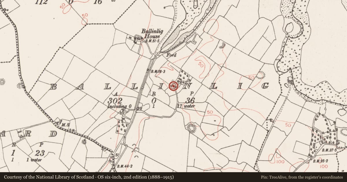 Ordnance Survey six-inch map, 2nd edition (1888–1915) covering the location of Architectural fragment, Ballinlig, County Sligo, with a pin at the register's coordinates