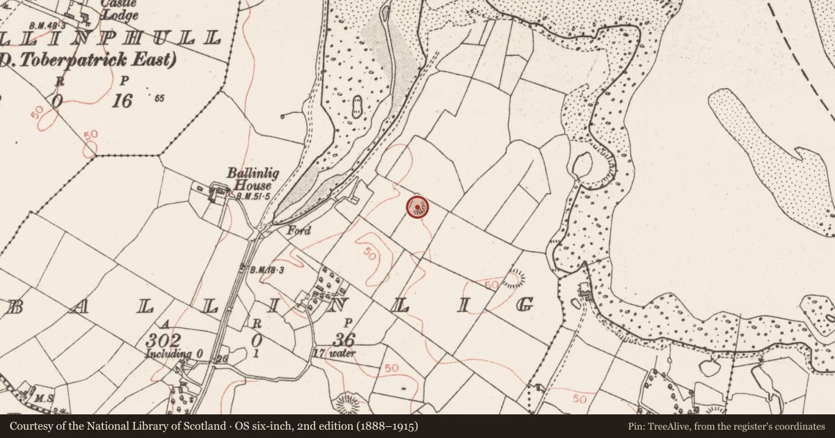 Ordnance Survey six-inch map, 2nd edition (1888–1915) covering the location of Ringfort - rath, Ballinlig, County Sligo, with a pin at the register's coordinates