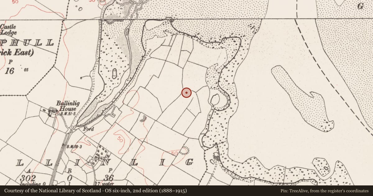 Ordnance Survey six-inch map, 2nd edition (1888–1915) covering the location of Enclosure, Ballinlig, County Sligo, with a pin at the register's coordinates